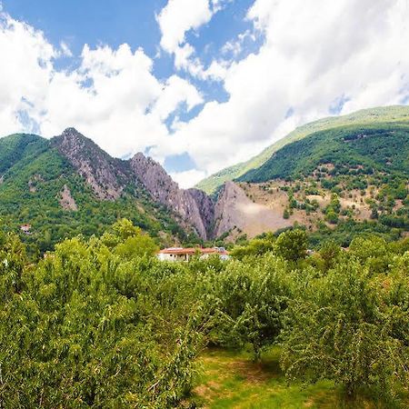 Irenes Resort Като-Лутраки Экстерьер фото